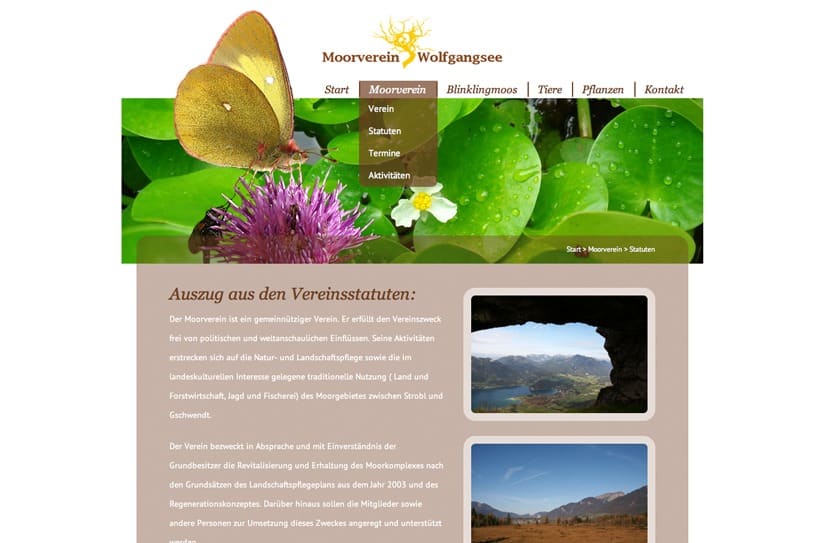 Projekte Moorverein Wolfgangsee - Website