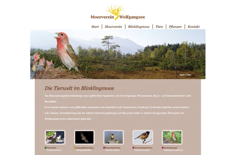 Projekte - Moorverein Wolfgangsee