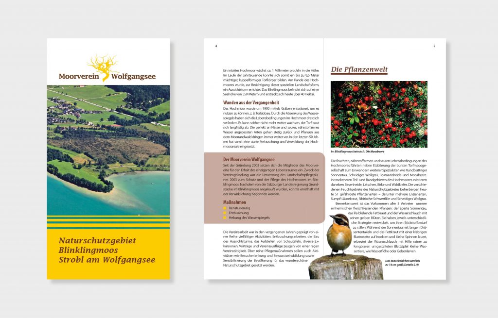 Projekte Moorverein Wolfgangsee - Broschüre
